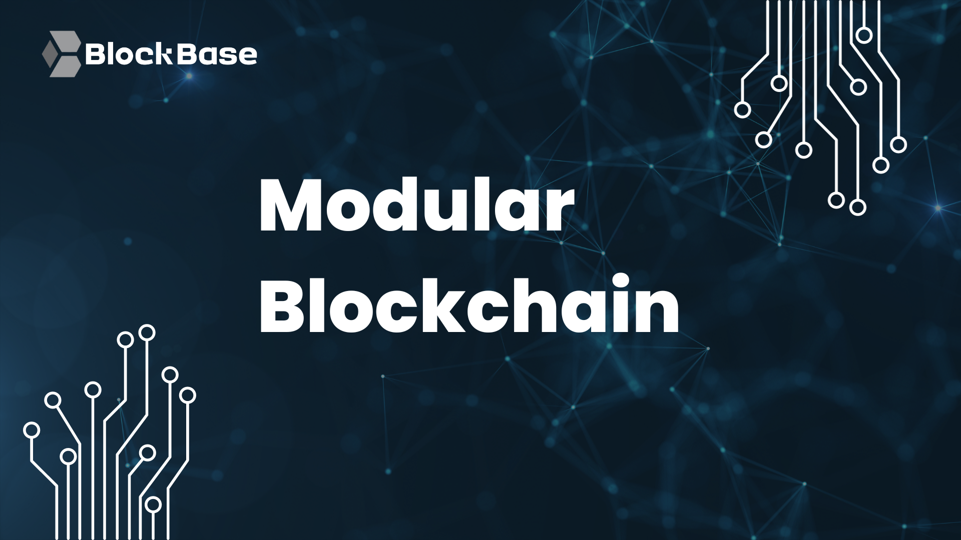 Modular Blockchain