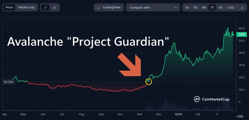 avalanche project guardian
