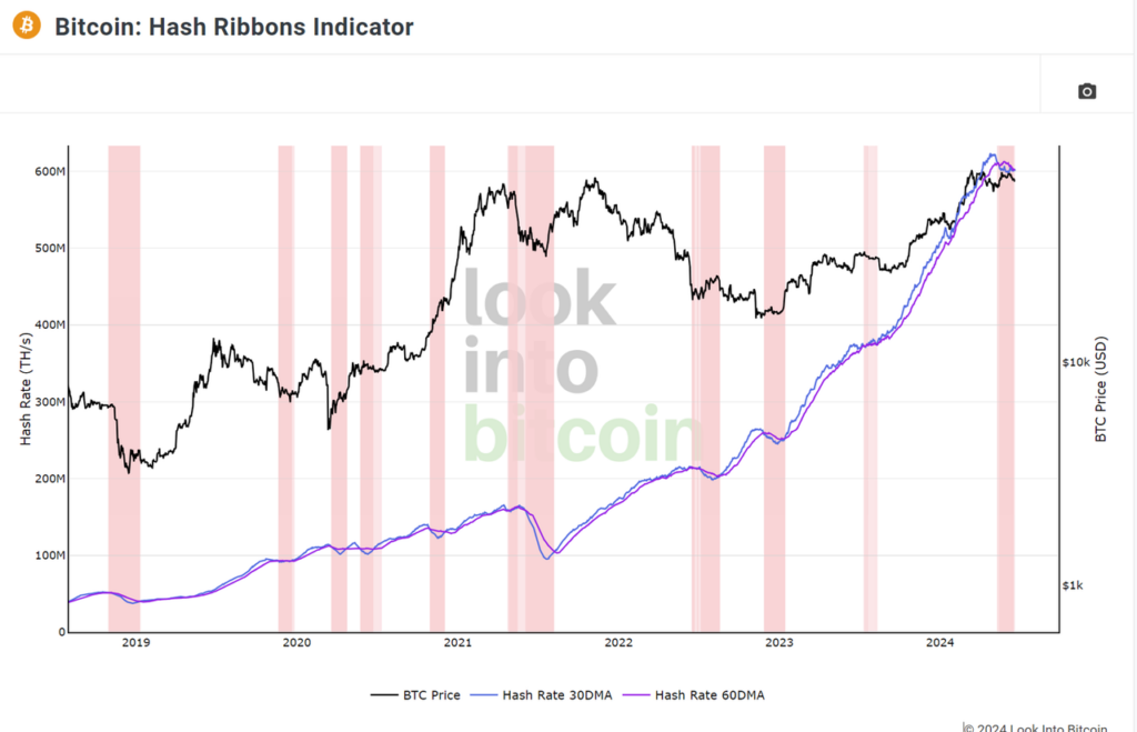 Bitcoin Hash Ribbons Indicator