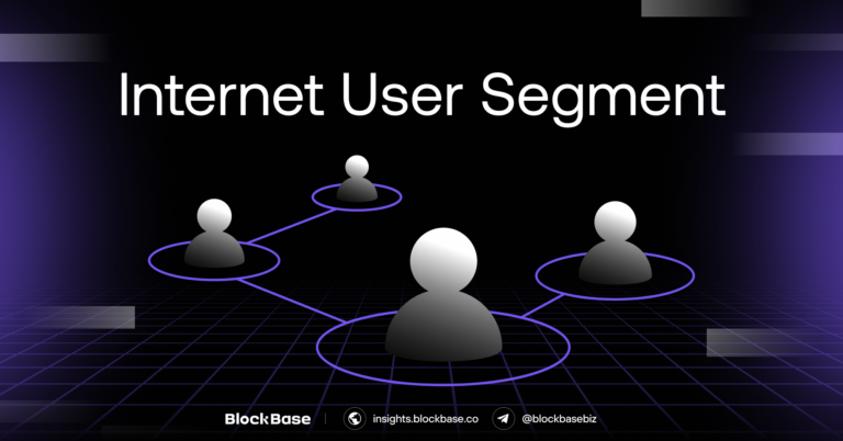 Internet User Segment
