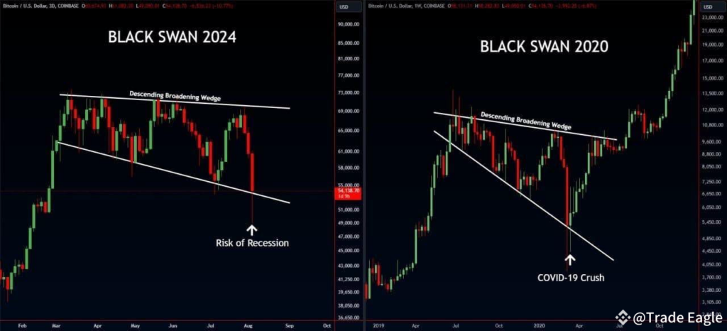 Black Swan 2024 market