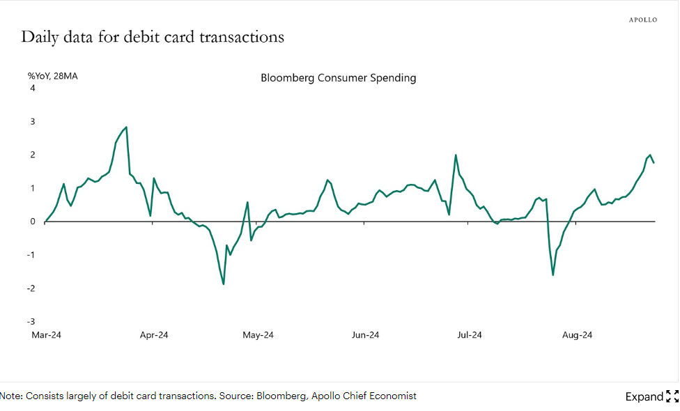 Fed daily data for debit card transactions