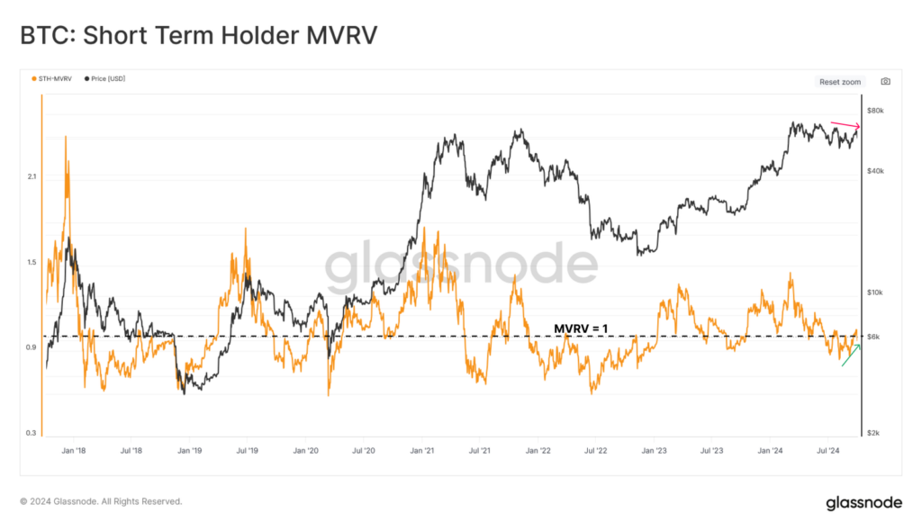 Bitcoin short term holder supply ratio