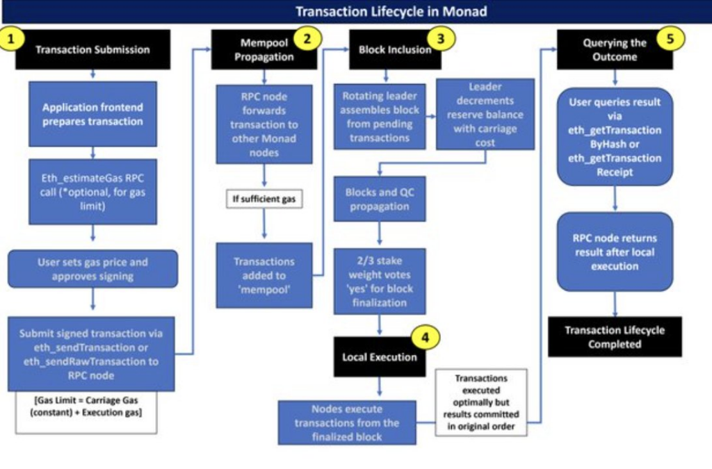 Transaction Lifecycle in Monad