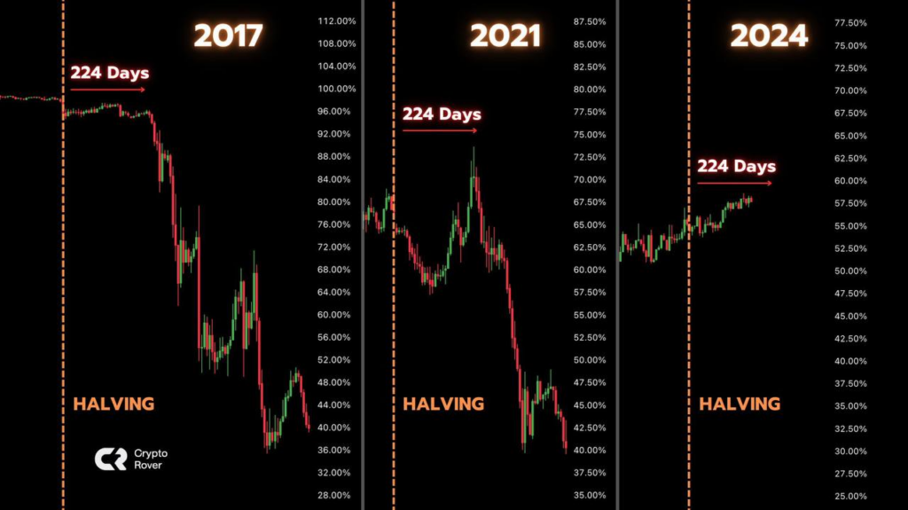 Altcoin Bull Run Timing Crypto