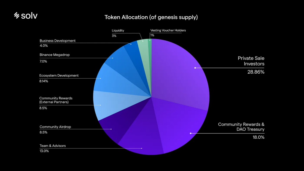 Solv Token Allocation