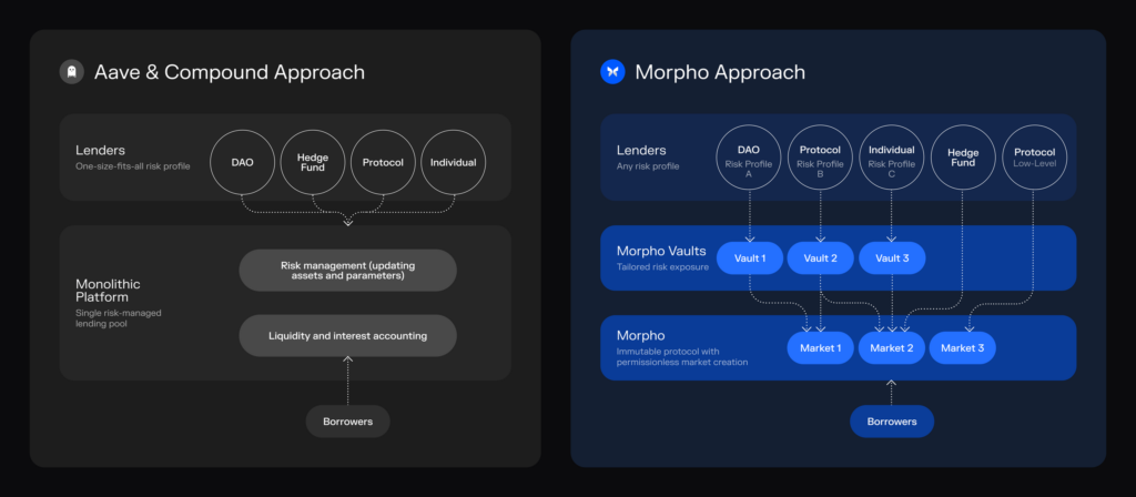 Morpho innovation level