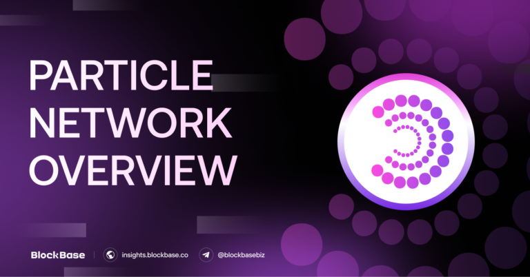 Particle Network Overview